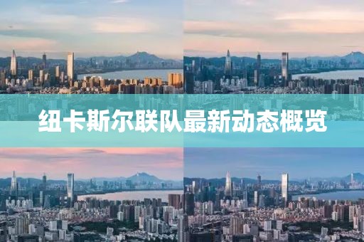 紐卡斯爾聯(lián)隊最新動態(tài)概覽