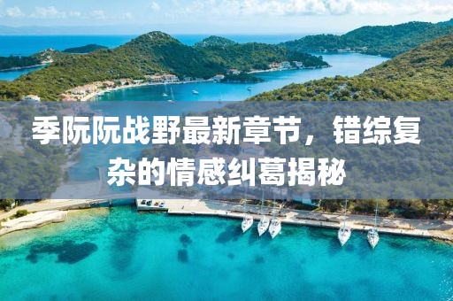 季阮阮戰(zhàn)野最新章節(jié)，錯(cuò)綜復(fù)雜的情感糾葛揭秘