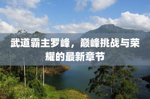 武道霸主羅峰，巔峰挑戰(zhàn)與榮耀的最新章節(jié)