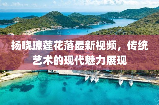 揚(yáng)曉瓊蓮花落最新視頻，傳統(tǒng)藝術(shù)的現(xiàn)代魅力展現(xiàn)