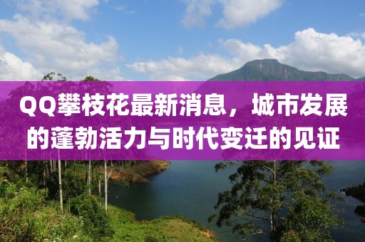 QQ攀枝花最新消息，城市發(fā)展的蓬勃活力與時代變遷的見證