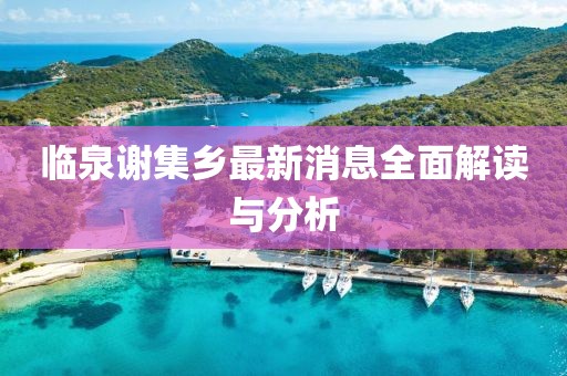 臨泉謝集鄉(xiāng)最新消息全面解讀與分析