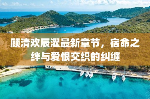 顧清歡辰濯最新章節(jié)，宿命之絆與愛恨交織的糾纏