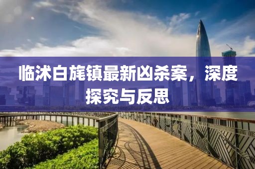 臨沭白旄鎮(zhèn)最新兇殺案，深度探究與反思