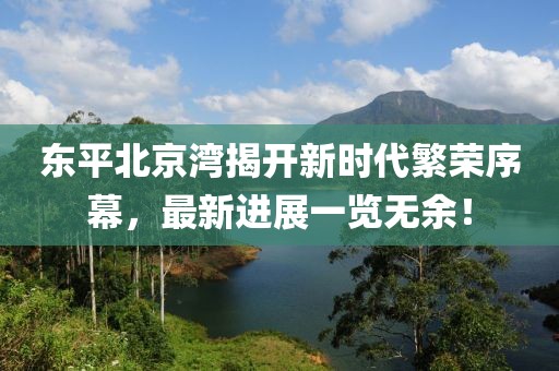 東平北京灣揭開(kāi)新時(shí)代繁榮序幕，最新進(jìn)展一覽無(wú)余！