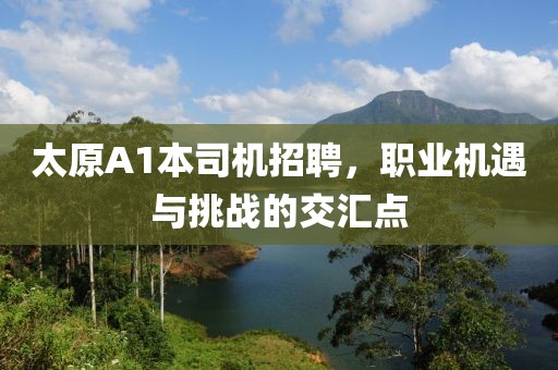 太原A1本司機(jī)招聘，職業(yè)機(jī)遇與挑戰(zhàn)的交匯點(diǎn)