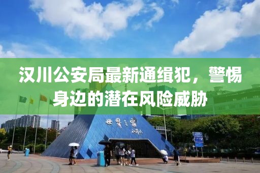 漢川公安局最新通緝犯，警惕身邊的潛在風險威脅