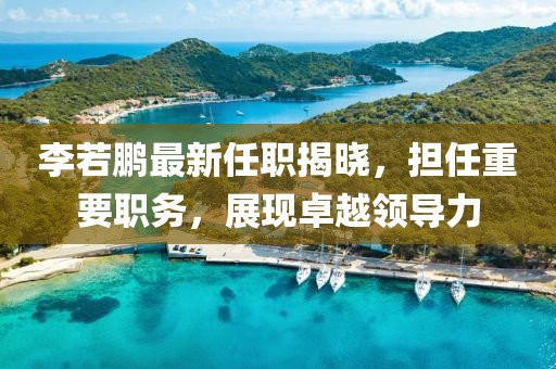 李若鵬最新任職揭曉，擔(dān)任重要職務(wù)，展現(xiàn)卓越領(lǐng)導(dǎo)力