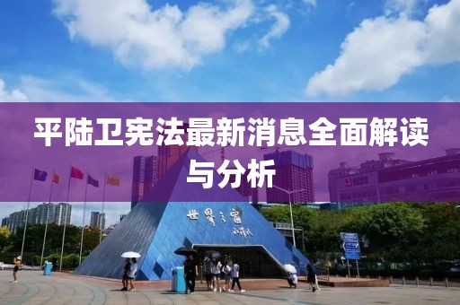 平陸衛(wèi)憲法最新消息全面解讀與分析