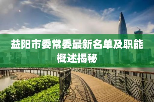 益陽市委常委最新名單及職能概述揭秘
