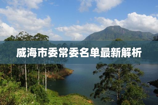 威海市委常委名單最新解析
