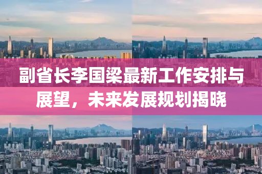 副省長(zhǎng)李國(guó)梁最新工作安排與展望，未來(lái)發(fā)展規(guī)劃揭曉