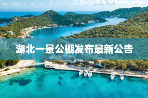 湖北一景公棚發(fā)布最新公告