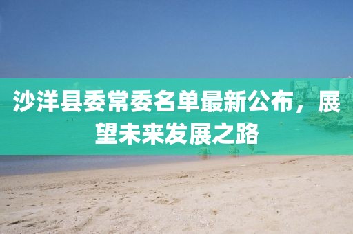 沙洋縣委常委名單最新公布，展望未來發(fā)展之路
