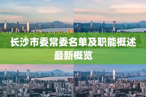 長(zhǎng)沙市委常委名單及職能概述最新概覽