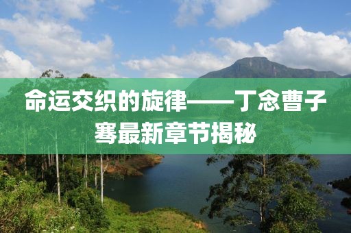 命運交織的旋律——丁念曹子騫最新章節(jié)揭秘