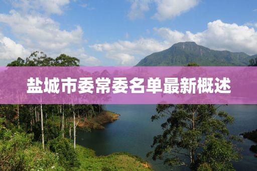 鹽城市委常委名單最新概述