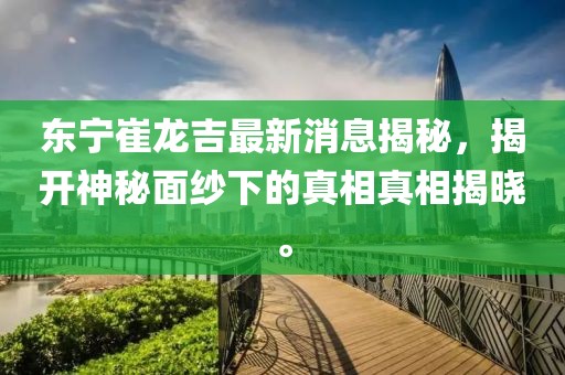 東寧崔龍吉最新消息揭秘，揭開神秘面紗下的真相真相揭曉。
