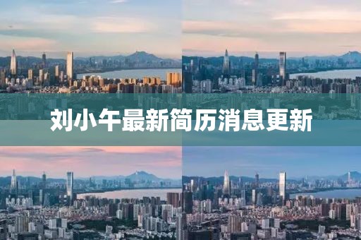 劉小午最新簡歷消息更新
