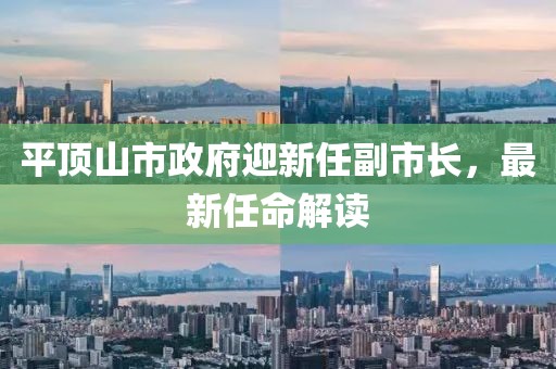 平頂山市政府迎新任副市長，最新任命解讀