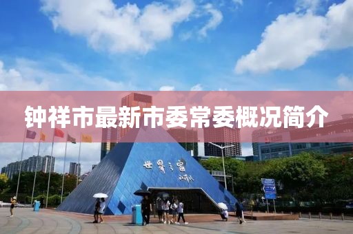 鐘祥市最新市委常委概況簡介