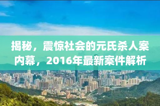 揭秘，震驚社會(huì)的元氏殺人案內(nèi)幕，2016年最新案件解析