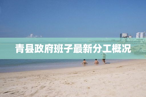 青縣政府班子最新分工概況