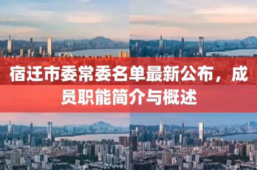 宿遷市委常委名單最新公布，成員職能簡介與概述