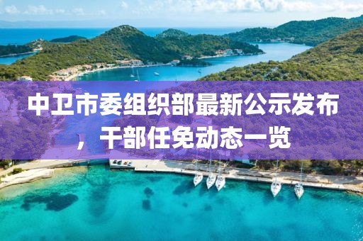中衛(wèi)市委組織部最新公示發(fā)布，干部任免動態(tài)一覽
