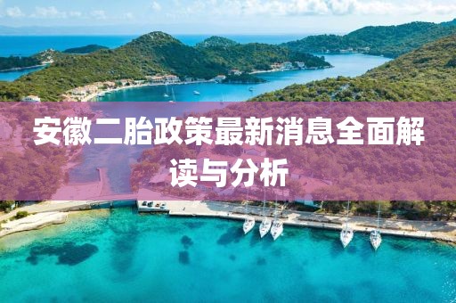 安徽二胎政策最新消息全面解讀與分析