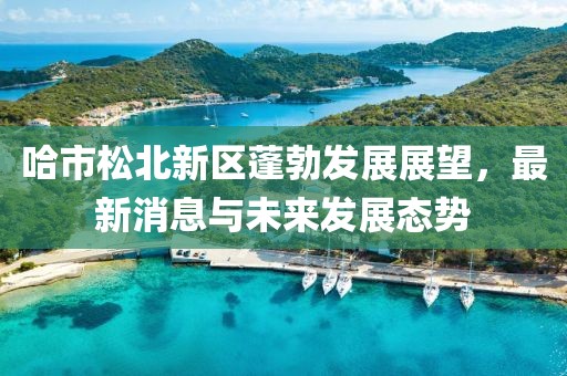 哈市松北新區(qū)蓬勃發(fā)展展望，最新消息與未來(lái)發(fā)展態(tài)勢(shì)