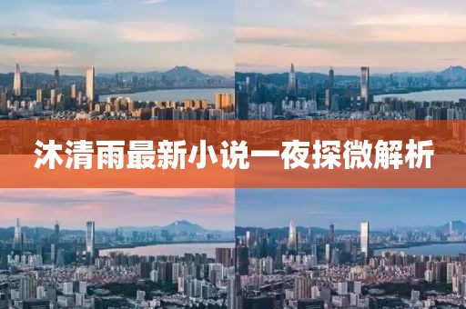 沐清雨最新小說(shuō)一夜探微解析
