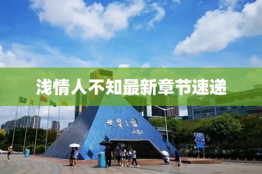 淺情人不知最新章節(jié)速遞