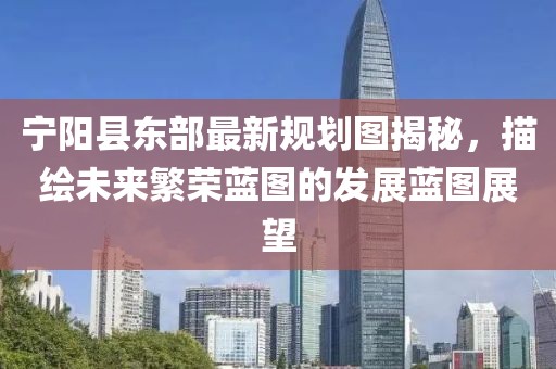 寧陽(yáng)縣東部最新規(guī)劃圖揭秘，描繪未來(lái)繁榮藍(lán)圖的發(fā)展藍(lán)圖展望