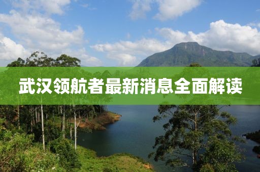 武漢領(lǐng)航者最新消息全面解讀