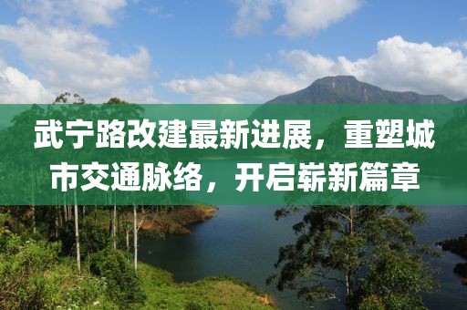 武寧路改建最新進展，重塑城市交通脈絡，開啟嶄新篇章