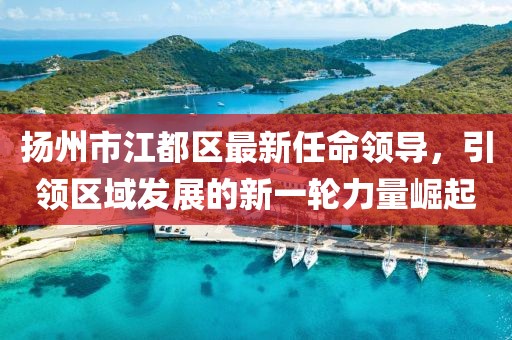 揚(yáng)州市江都區(qū)最新任命領(lǐng)導(dǎo)，引領(lǐng)區(qū)域發(fā)展的新一輪力量崛起