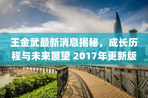 王金武最新消息揭秘，成長(zhǎng)歷程與未來展望 2017年更新版