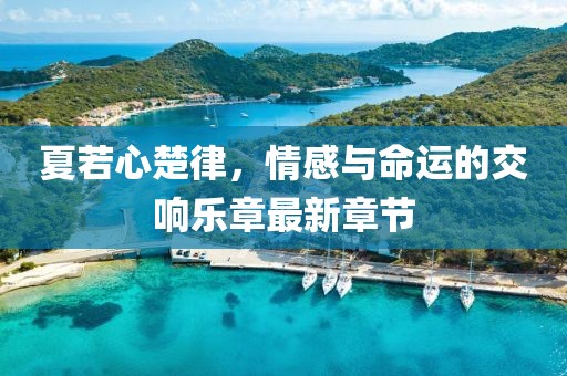 夏若心楚律，情感與命運(yùn)的交響樂章最新章節(jié)