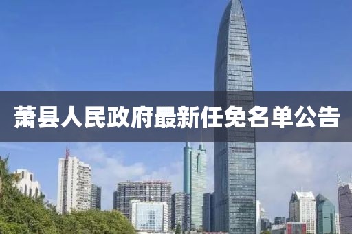 蕭縣人民政府最新任免名單公告
