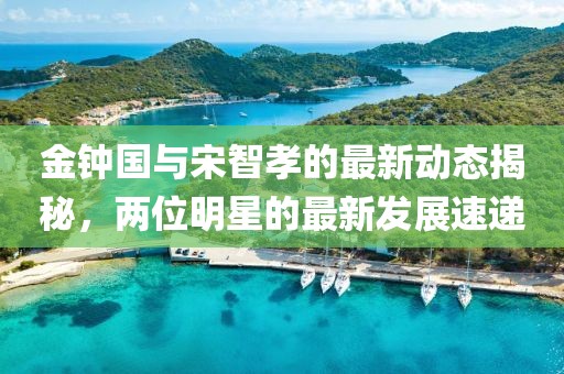 金鐘國(guó)與宋智孝的最新動(dòng)態(tài)揭秘，兩位明星的最新發(fā)展速遞