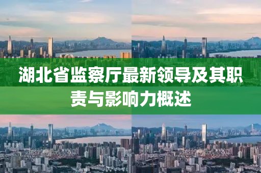 湖北省監(jiān)察廳最新領(lǐng)導(dǎo)及其職責(zé)與影響力概述