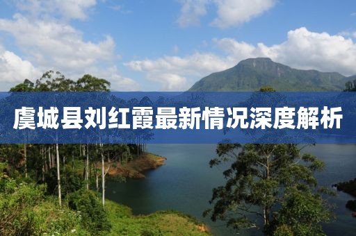 虞城縣劉紅霞最新情況深度解析