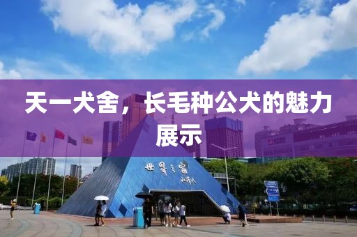 天一犬舍，長毛種公犬的魅力展示