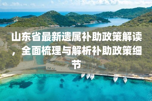山東省最新遺屬補(bǔ)助政策解讀，全面梳理與解析補(bǔ)助政策細(xì)節(jié)