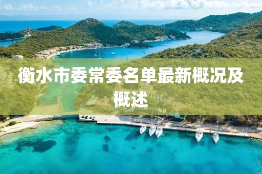 衡水市委常委名單最新概況及概述
