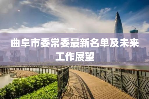 曲阜市委常委最新名單及未來工作展望
