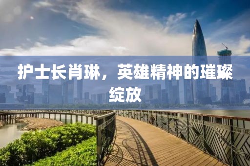 護士長肖琳，英雄精神的璀璨綻放