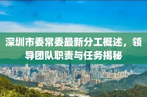 深圳市委常委最新分工概述，領(lǐng)導(dǎo)團(tuán)隊(duì)職責(zé)與任務(wù)揭秘