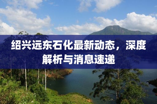 紹興遠(yuǎn)東石化最新動態(tài)，深度解析與消息速遞